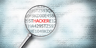 Lupe - Langzeit Tracking