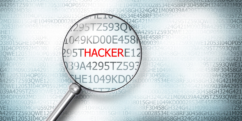 Lupe - Langzeit Tracking