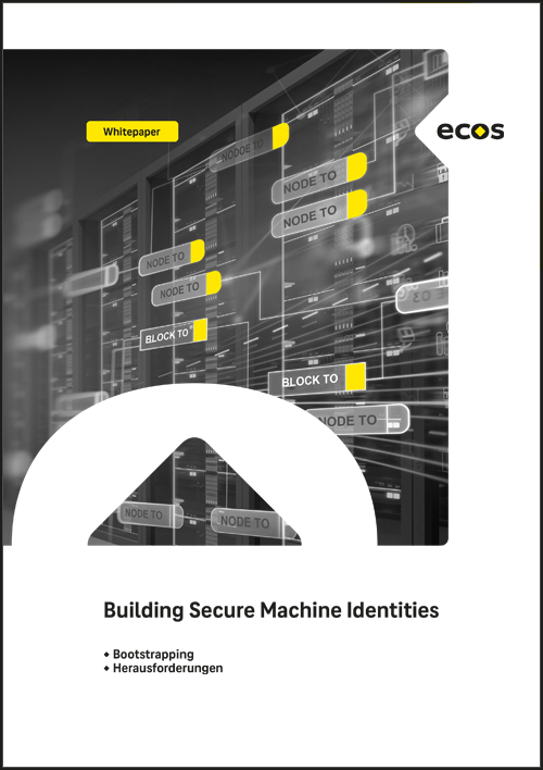 Whitepaper Building Secure Machine Identities
