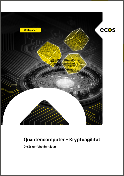 Whitepaper: Quantencomputer und Kryptoagilität